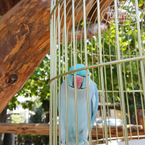 фото из отзыва ID 2029762