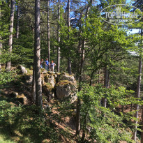 фото из отзыва ID 2027128