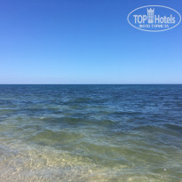 фото из отзыва ID 2029843