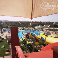 фото из отзыва ID 2029895