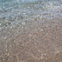 фото из отзыва ID 2029685