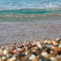 фото из отзыва ID 2029685