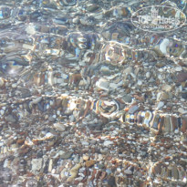 фото из отзыва ID 2029685