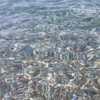 фото из отзыва ID 2029685