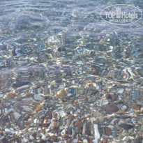 фото из отзыва ID 2029685