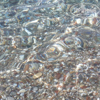 фото из отзыва ID 2029685