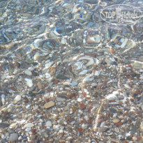 фото из отзыва ID 2029685