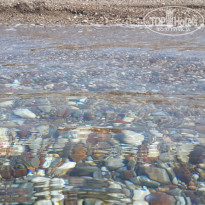 фото из отзыва ID 2029685