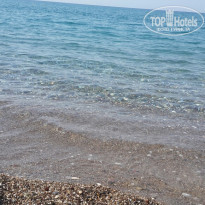 фото из отзыва ID 2029685