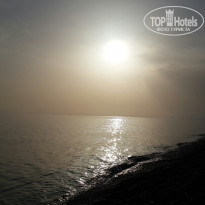 фото из отзыва ID 2029685