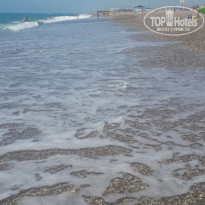 фото из отзыва ID 2029685