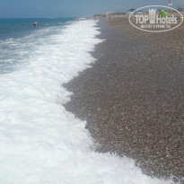 фото из отзыва ID 2029685