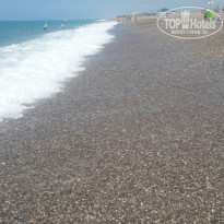 фото из отзыва ID 2029685