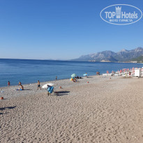 фото из отзыва ID 2029963