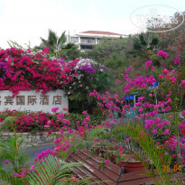 фото из отзыва ID 2029683