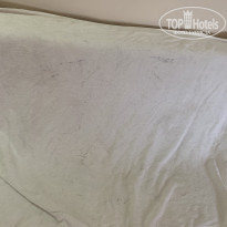 фото из отзыва ID 2027156