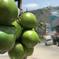 фото из отзыва ID 2029756