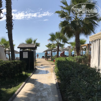 фото из отзыва ID 2027807