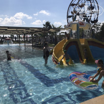 фото из отзыва ID 2027807