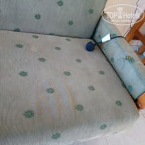 фото из отзыва ID 2029423