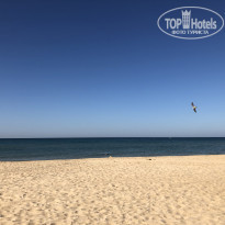 фото из отзыва ID 2024894