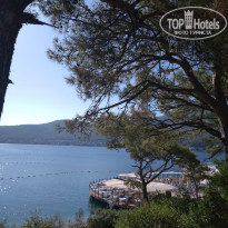 фото из отзыва ID 2027382