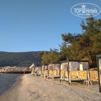 фото из отзыва ID 2027382