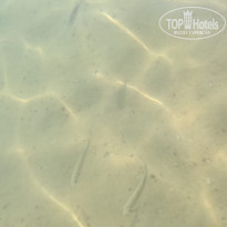 фото из отзыва ID 2027382