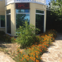 фото из отзыва ID 2025321