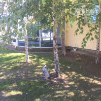 фото из отзыва ID 2025321