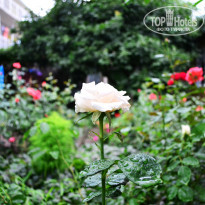 фото из отзыва ID 2022628