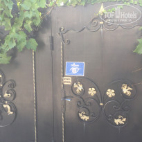 фото из отзыва ID 2020391