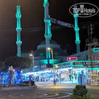 фото из отзыва ID 2029593