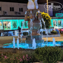 фото из отзыва ID 2029593