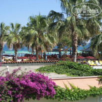 фото из отзыва ID 203440