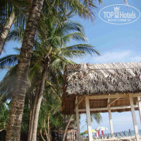 фото из отзыва ID 203845