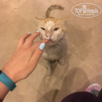 фото из отзыва ID 2030007