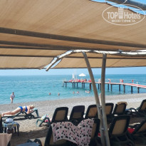 фото из отзыва ID 2030060