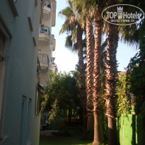 фото из отзыва ID 2030083