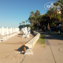 фото из отзыва ID 2030083