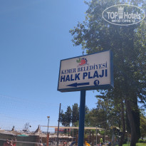 фото из отзыва ID 2030131