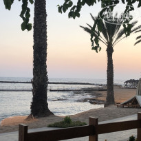 фото из отзыва ID 2030167