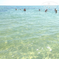 фото из отзыва ID 2030450