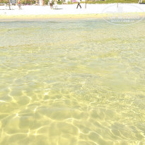 фото из отзыва ID 2030450