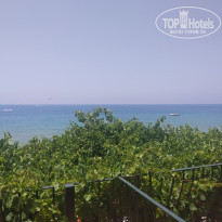 фото из отзыва ID 2030483