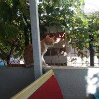 фото из отзыва ID 2030484