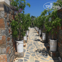 фото из отзыва ID 2030608