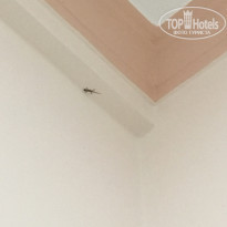 фото из отзыва ID 2030604