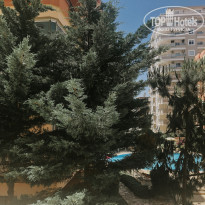 фото из отзыва ID 2030660