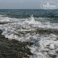 фото из отзыва ID 2030660